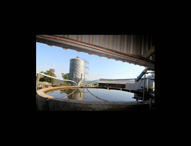 473HA FARM FOR SALE IN EAST LONDON RURAL